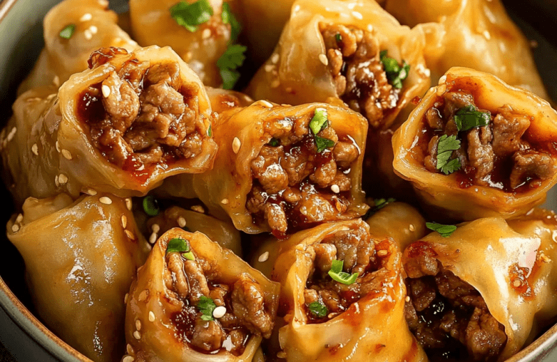 Spicy Beef Dumpling Rolls