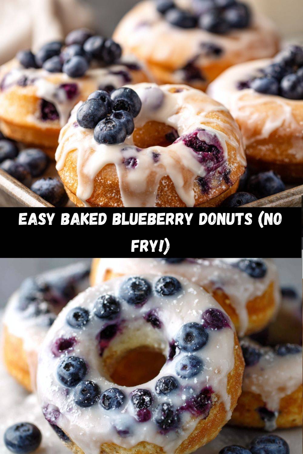 Blueberry Cake Donuts