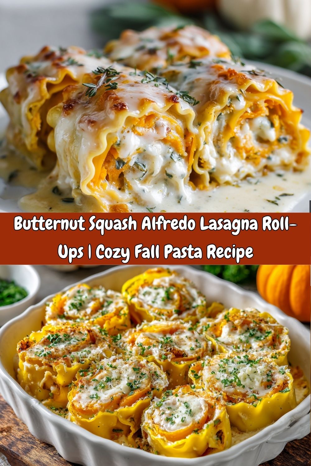 Butternut Squash Alfredo Lasagna Roll-Ups