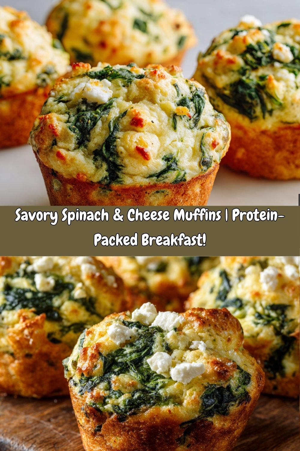Savory Spinach & Cheese Muffins