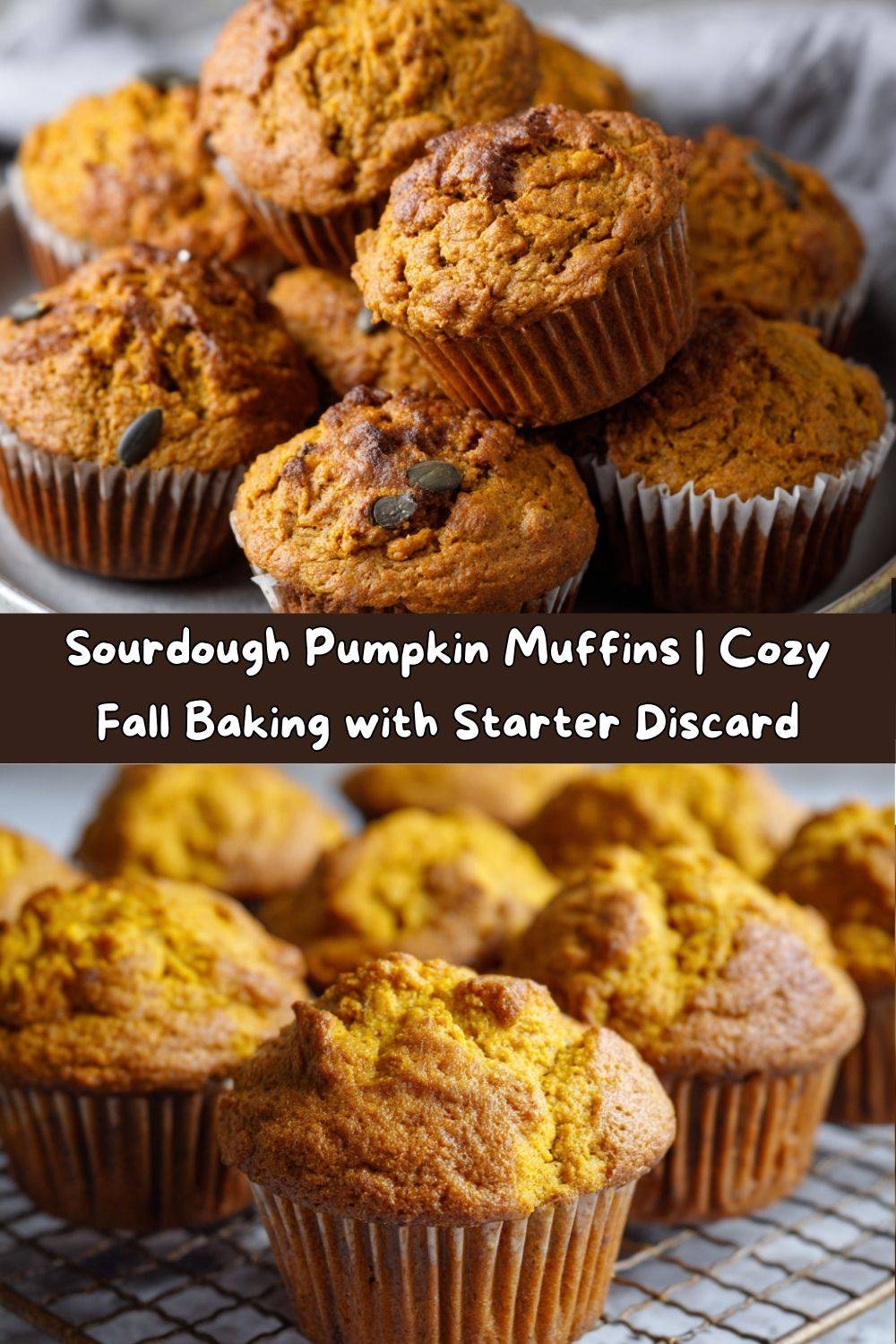 Sourdough Pumpkin Muffins