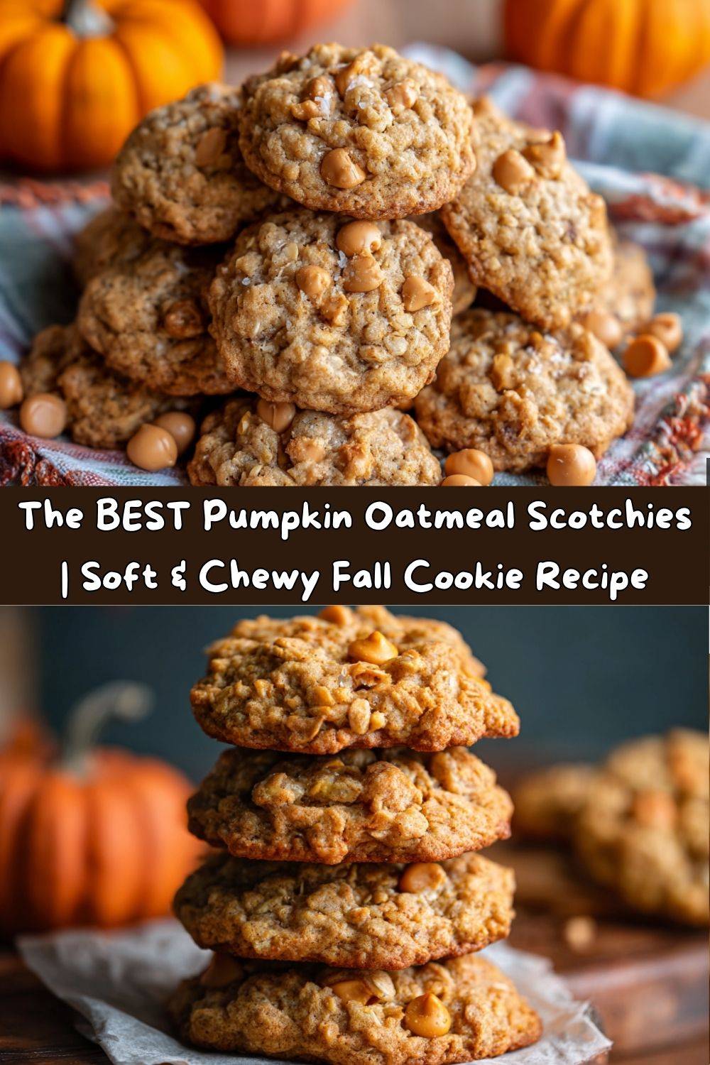 PUMPKIN OATMEAL SCOTCHIES