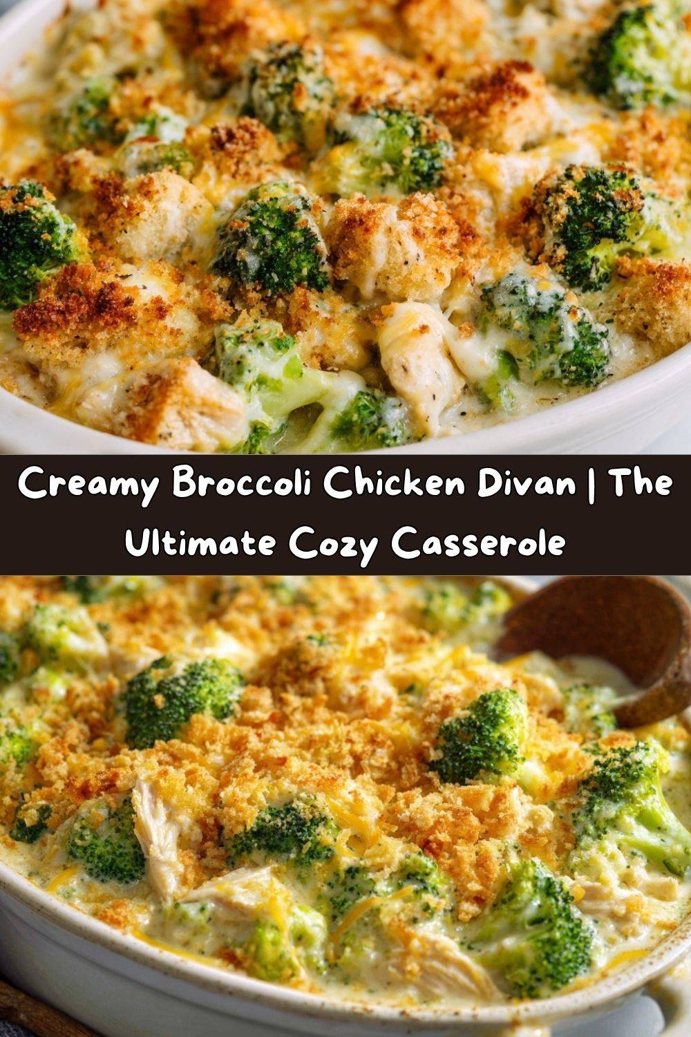 Creamy Broccoli Chicken Divan