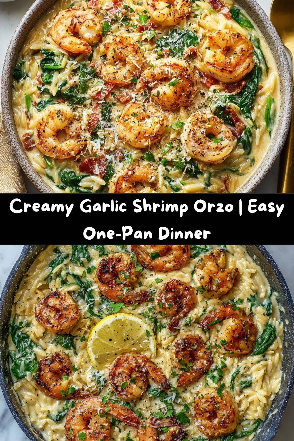 Creamy Garlic Shrimp Orzo