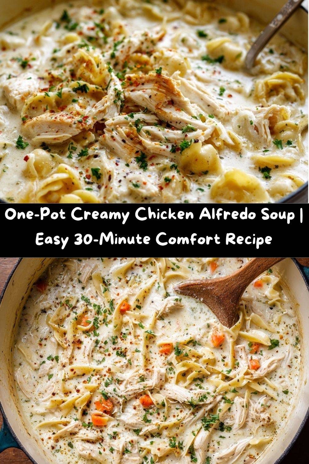 One-Pot Creamy Chicken Alfredo Soup