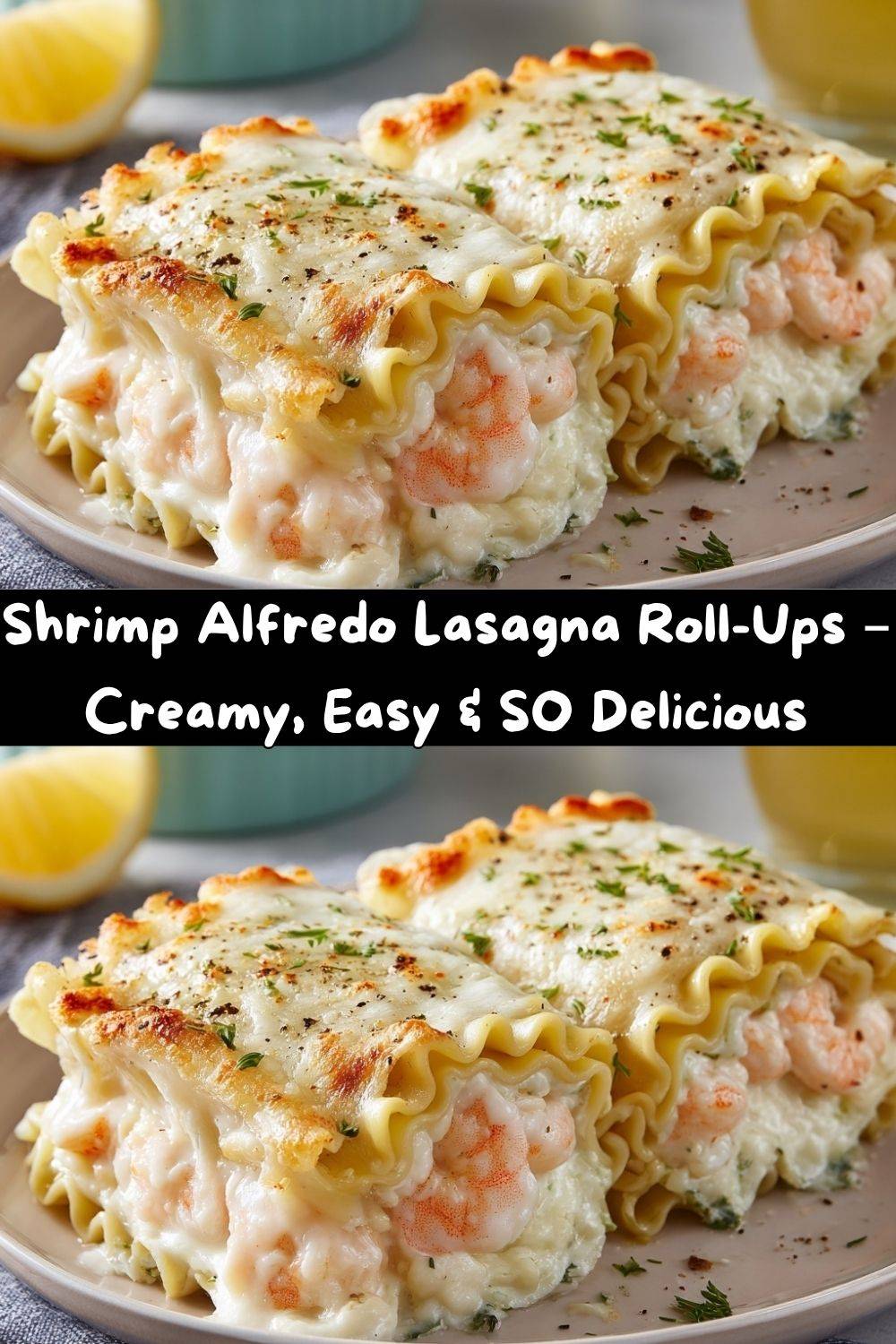 Shrimp Alfredo Lasagna Roll-Ups