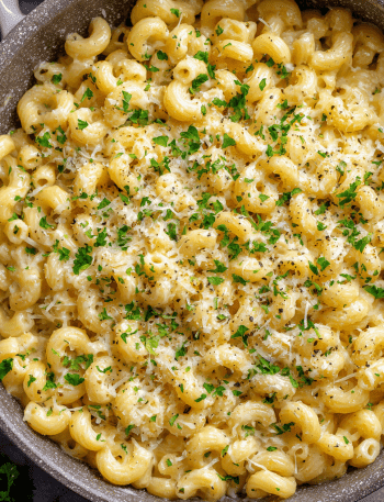Creamy Garlic Butter Ditalini Pasta