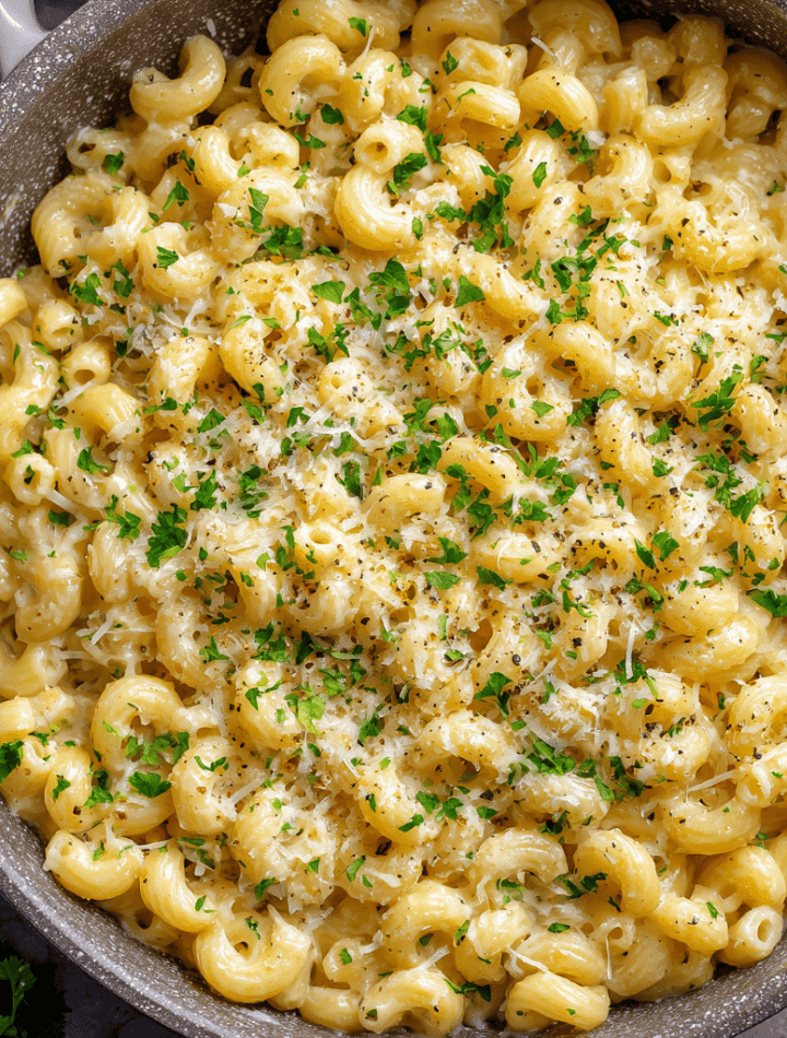 Creamy Garlic Butter Ditalini Pasta