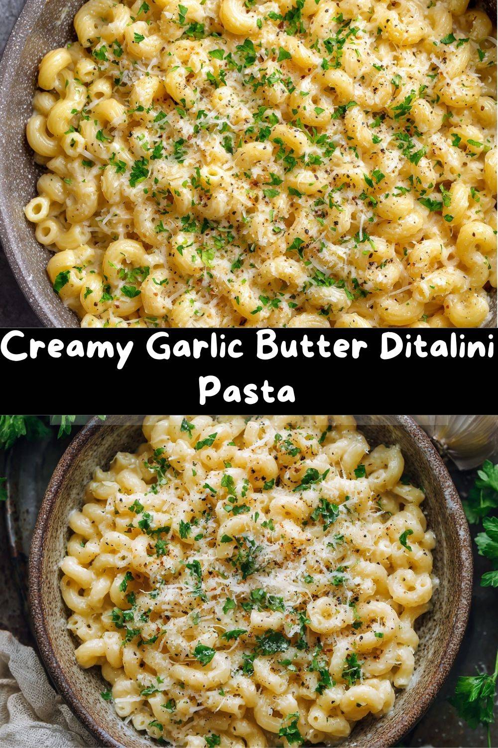 Creamy Garlic Butter Ditalini Pasta