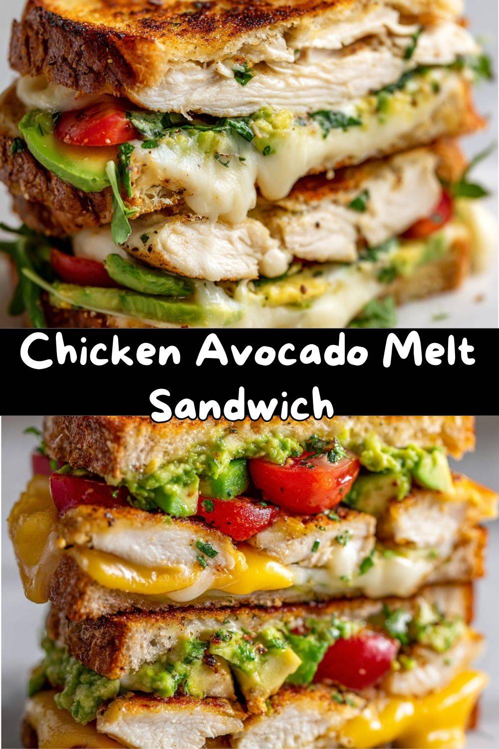 Chicken Avocado Melt Sandwich 