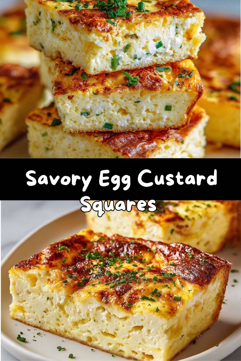 Savory Egg Custard Squares