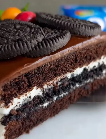 Easy Oreo Biscuit Cake served in a plate, a viral dessert to impress friends.